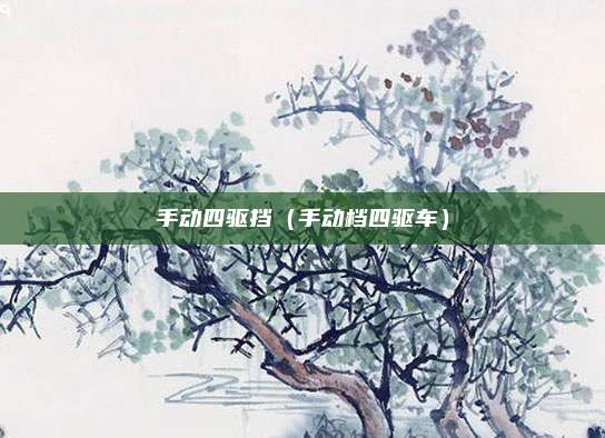 手动四驱挡(手动档四驱车)