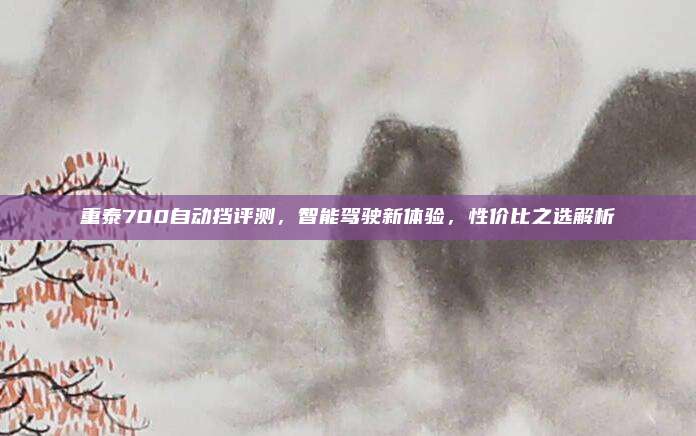 重泰700自动挡评测，智能驾驶新体验，性价比之选解析