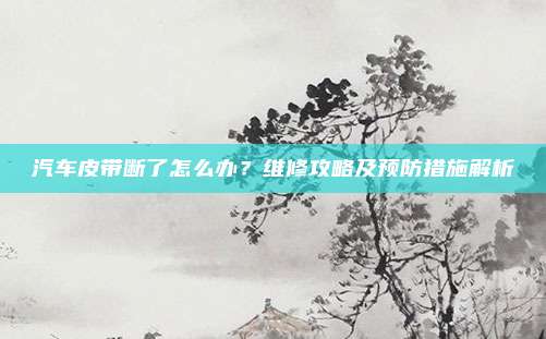 汽车皮带断了怎么办？维修攻略及预防措施解析
