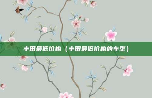 丰田最低价格（丰田最低价格的车型）