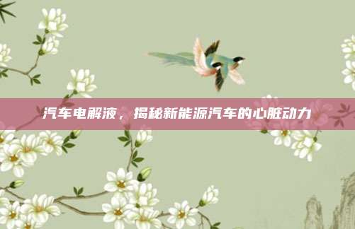 汽车电解液，揭秘新能源汽车的心脏动力