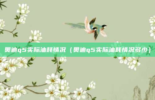 奥迪q5实际油耗情况（奥迪q5实际油耗情况多少）