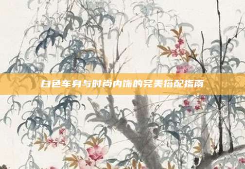 白色车身与时尚内饰的完美搭配指南