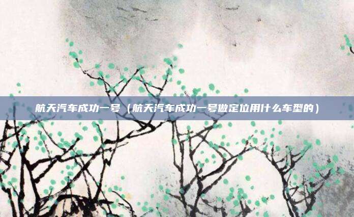 航天汽车成功一号（航天汽车成功一号做定位用什么车型的）