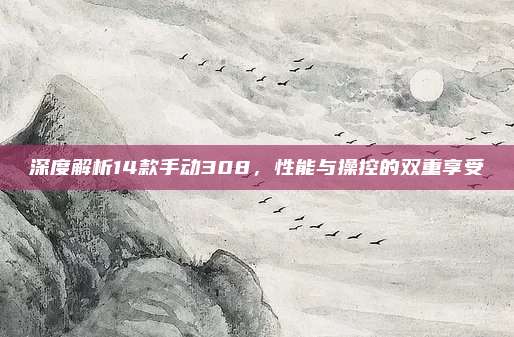 深度解析14款手动308，性能与操控的双重享受