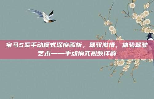 宝马5系手动模式深度解析，驾驭激情，体验驾驶艺术——手动模式视频详解