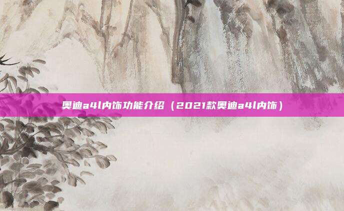 奥迪a4l内饰功能介绍（2021款奥迪a4l内饰）
