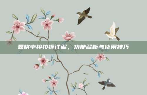 思铭中控按键详解，功能解析与使用技巧