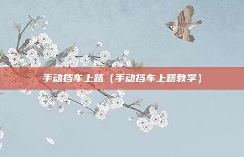 手动挡车上路（手动挡车上路教学）