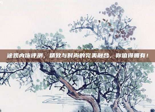 途观内饰评测，精致与时尚的完美融合，你值得拥有！
