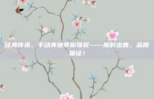 经典传承,手动奔驰等你驾驭——限时出售,品质保证!