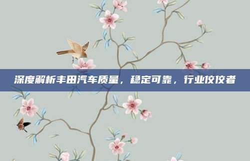 深度解析丰田汽车质量,稳定可靠,行业佼佼者