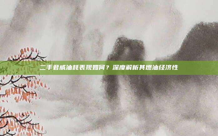 二手君威油耗表现如何?深度解析其燃油经济性