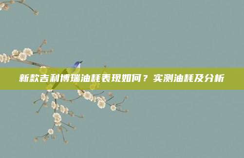 新款吉利博瑞油耗表现如何?实测油耗及分析