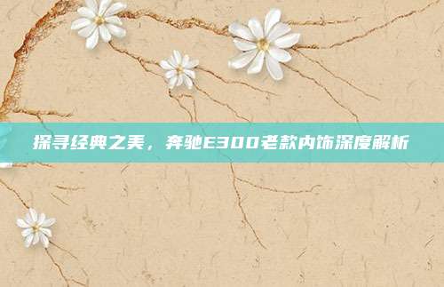 探寻经典之美,奔驰E300老款内饰深度解析