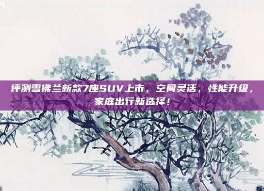 评测雪佛兰新款7座SUV上市，空间灵活，性能升级，家庭出行新选择！