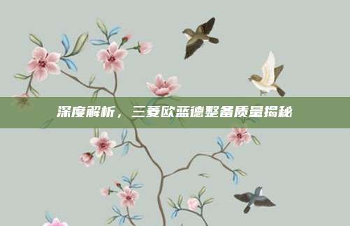 深度解析,三菱欧蓝德整备质量揭秘