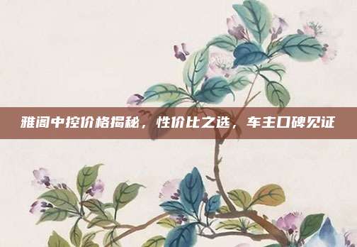 雅阁中控价格揭秘，性价比之选，车主口碑见证