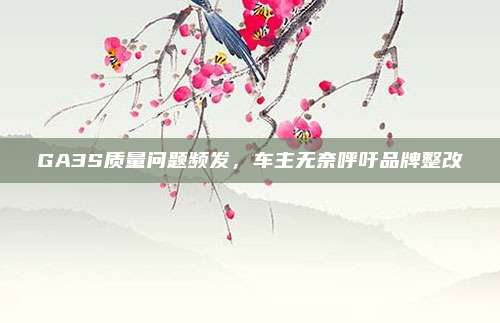 GA3S质量问题频发，车主无奈呼吁品牌整改