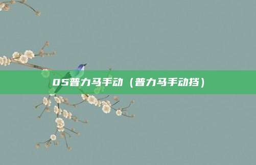 05普力马手动（普力马手动挡）