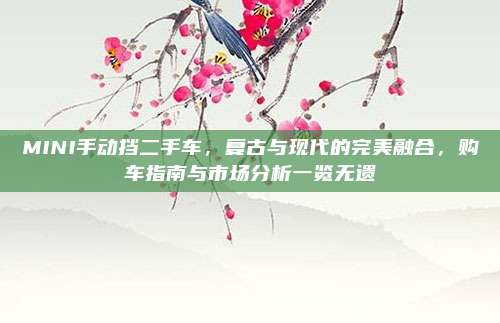 MINI手动挡二手车，复古与现代的完美融合，购车指南与市场分析一览无遗
