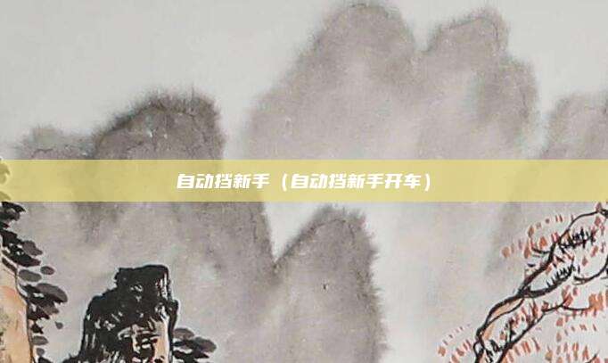 自动挡新手（自动挡新手开车）