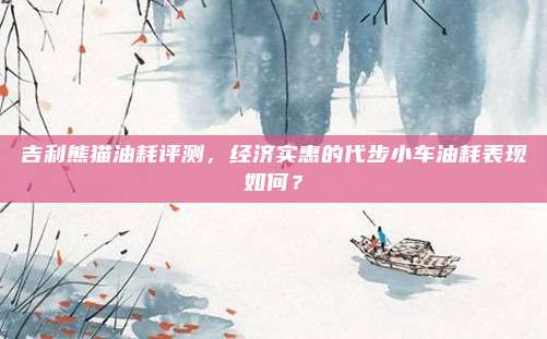 吉利熊猫油耗评测，经济实惠的代步小车油耗表现如何？