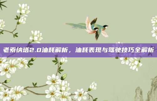老索纳塔2.0油耗解析,油耗表现与驾驶技巧全解析