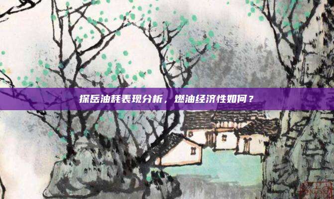 探岳油耗表现分析，燃油经济性如何？