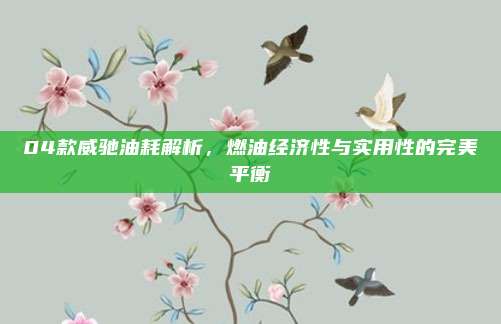 04款威驰油耗解析,燃油经济性与实用性的完美平衡