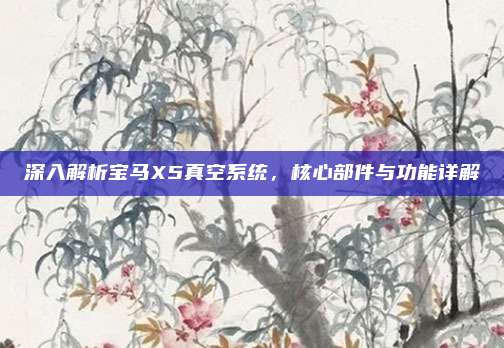 深入解析宝马X5真空系统,核心部件与功能详解