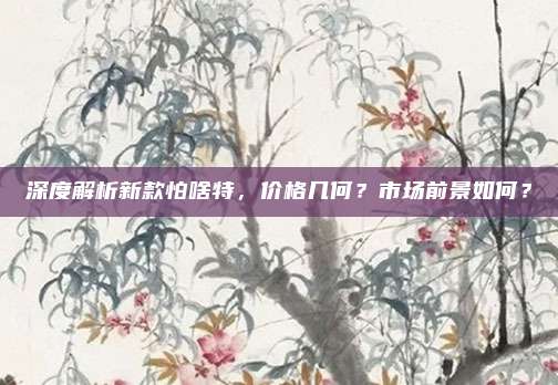 深度解析新款怕啥特,价格几何?市场前景如何?