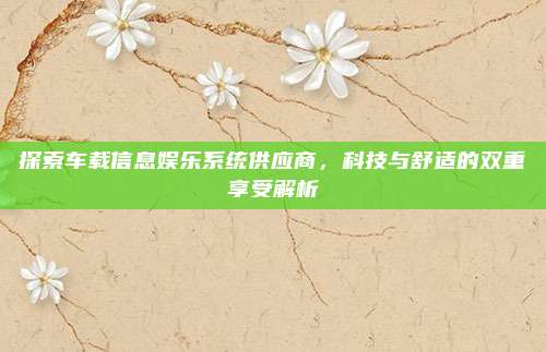 探索车载信息娱乐系统供应商，科技与舒适的双重享受解析