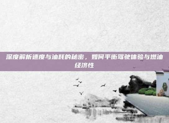 深度解析速度与油耗的秘密，如何平衡驾驶体验与燃油经济性