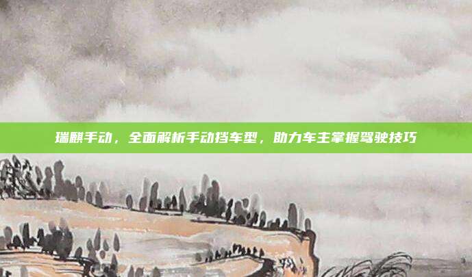 瑞麒手动，全面解析手动挡车型，助力车主掌握驾驶技巧