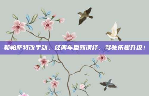 新帕萨特改手动，经典车型新演绎，驾驶乐趣升级！