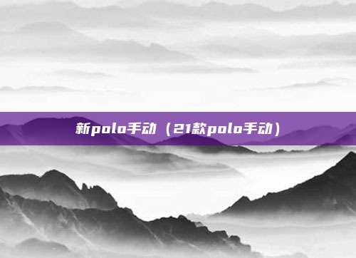 新polo手动（21款polo手动）