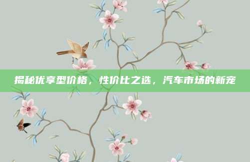 揭秘优享型价格,性价比之选,汽车市场的新宠