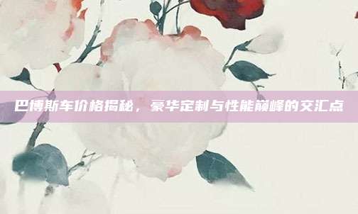 巴博斯车价格揭秘,豪华定制与性能巅峰的交汇点
