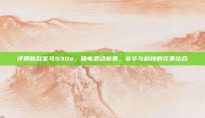 评测新款宝马530e,插电混动新贵,豪华与科技的完美结合