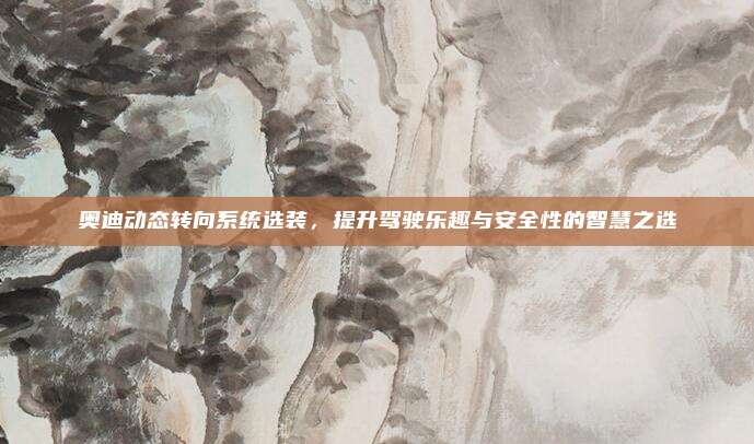 奥迪动态转向系统选装,提升驾驶乐趣与安全性的智慧之选