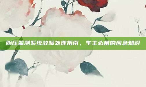 胎压监测系统故障处理指南，车主必备的应急知识
