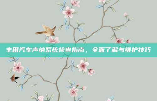 丰田汽车声纳系统检查指南，全面了解与维护技巧