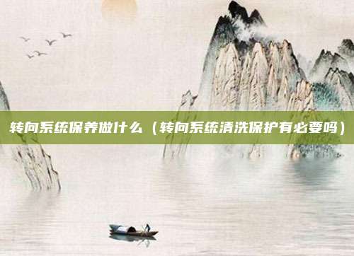 转向系统保养做什么（转向系统清洗保护有必要吗）