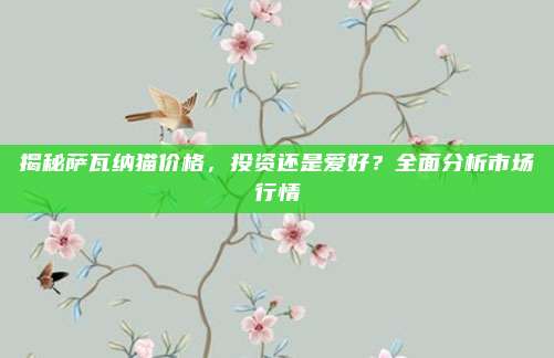 揭秘萨瓦纳猫价格，投资还是爱好？全面分析市场行情