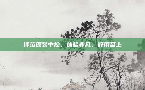 锋范原装中控，体验非凡，好用至上