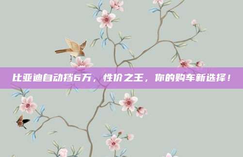 比亚迪自动挡6万，性价之王，你的购车新选择！