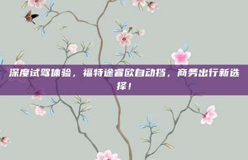 深度试驾体验，福特途睿欧自动挡，商务出行新选择！