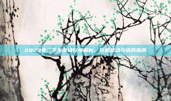 2023年二手车市场行情解析，价格波动与选购指南