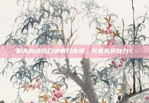阳光自动挡口碑横扫市场，究竟有何魅力？